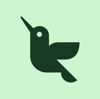 logo-bluum-pine-hummingbird-mint-bg