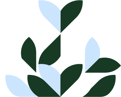 artwork-bluum-pattern-green-03-med