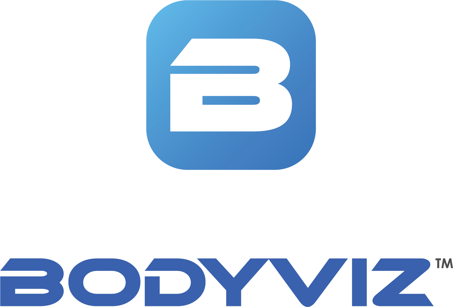 bodyviz logo