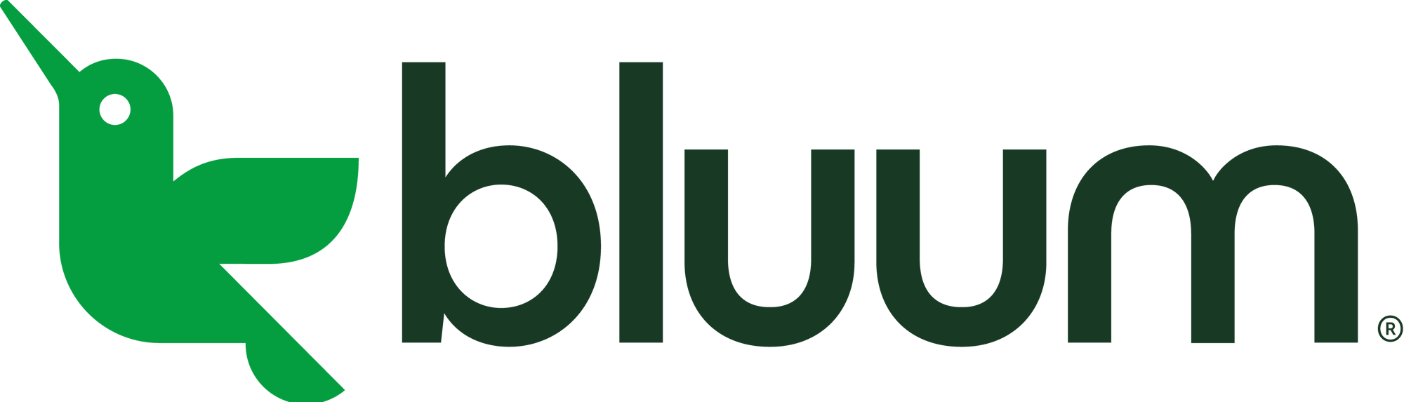BLUUM_Logo_Lockup_LeafPine@4x