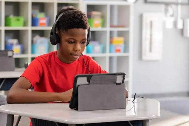 ERGO Headphones/Headsets