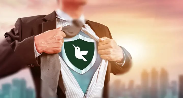 hero-bluum-super-hero-security-full (1)