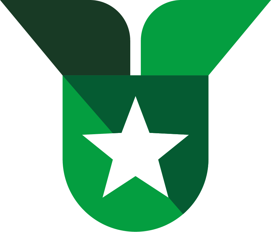 ribbon with star